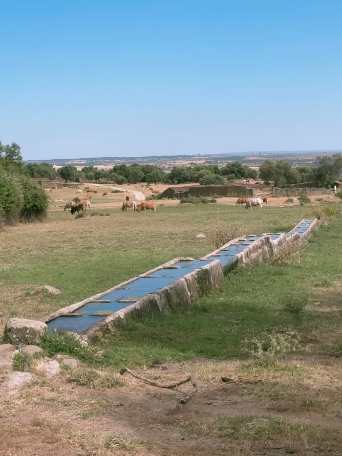 2025-07-04-pilones-pajares.jpeg