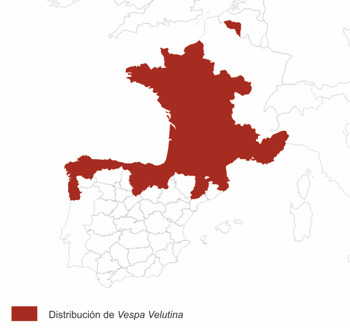 mapa-europa.gif