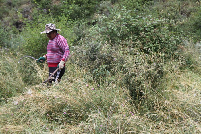 acondicionamientoyplanacion01.jpg