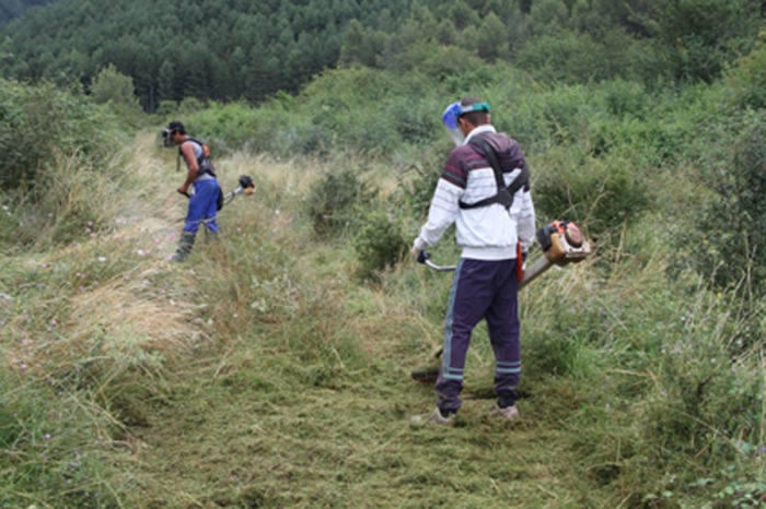 acondicionamientoyplanacion03.jpg