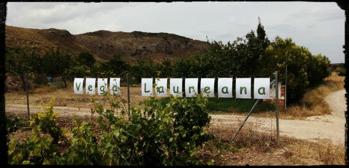 vega-laureana.jpg