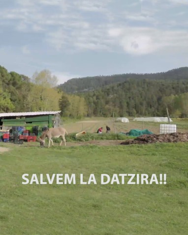 Immagine di intestazione